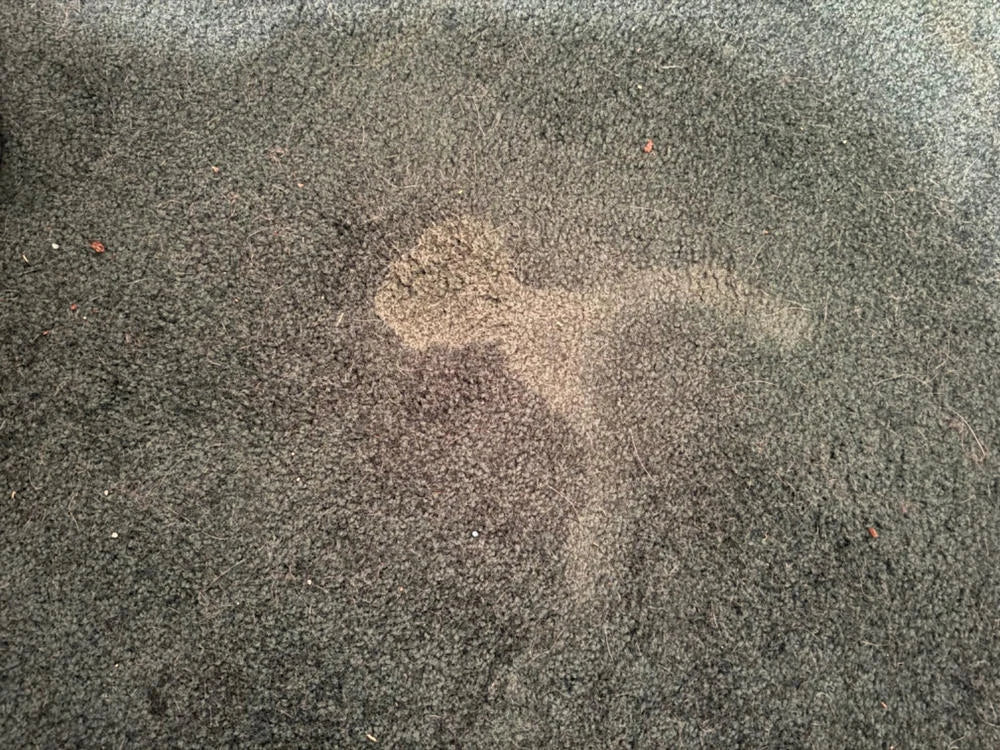 Antes y después SrFirulais — alfombra