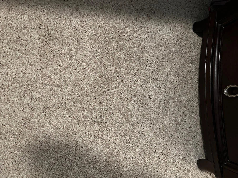Antes y después SrFirulais — alfombra